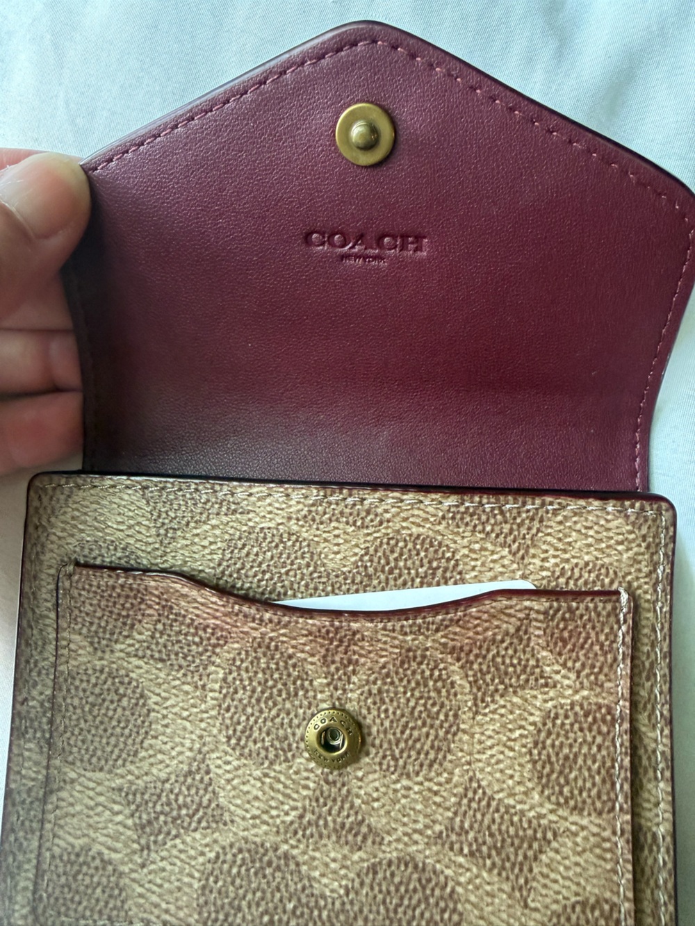 Coach Wyn Small Wallet in Colorblock Signature Canvas - Picture 7 of 12